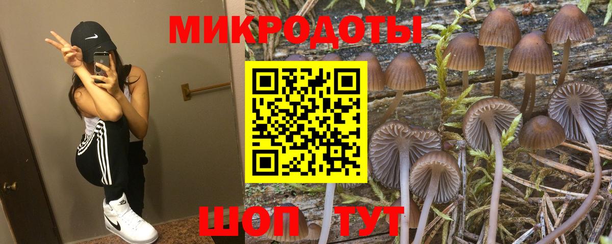 Псилоцибиновые грибы ЛСД Дмитров